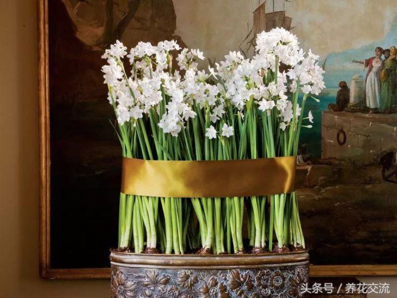 冬天什么花开得最茂盛「冬天什么花开得最茂盛呢」