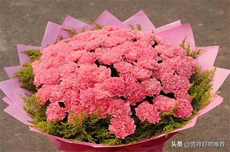 代表夏天的花有哪些「代表夏天的花有哪些动画教育」