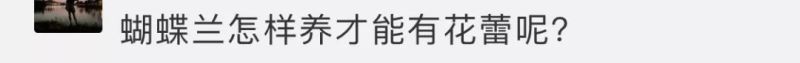 冬天蝴蝶兰怎么养家庭养法「冬天蝴蝶兰怎么养家庭养法图片」