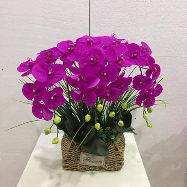 刚买回来的蝴蝶兰怎么浇水「刚买回来的蝴蝶兰怎么浇水呢」