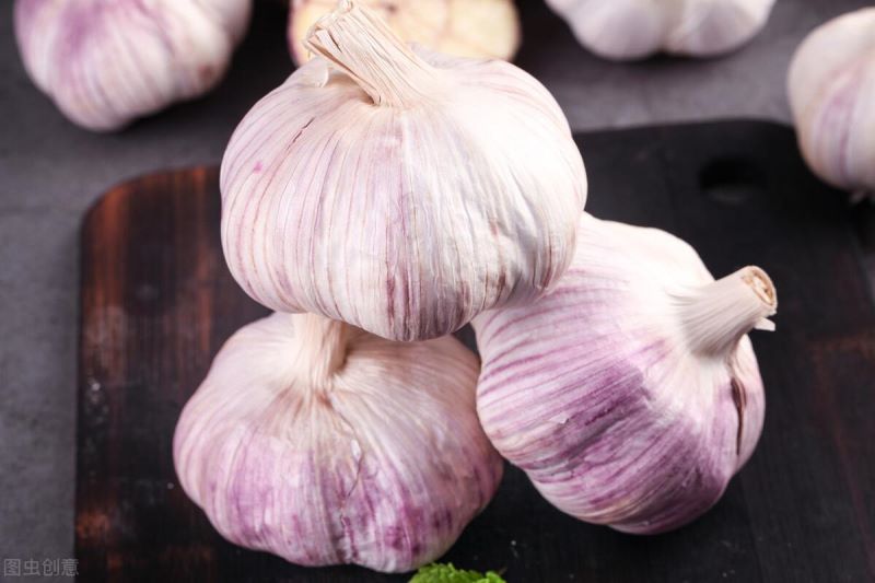 大蒜怎么种植「大蒜怎么种植方法」_3