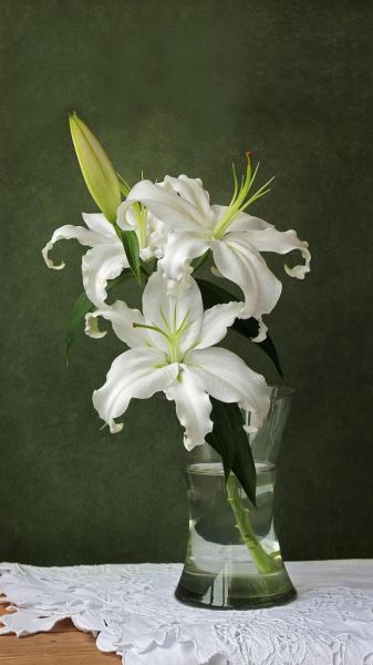 好看的花有哪些「好看的花有哪些品种」
