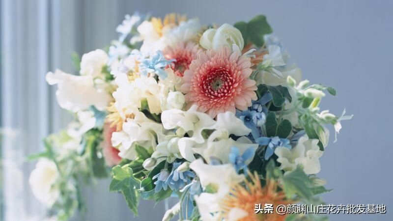 插花技巧与搭配「插花技巧与搭配视频」_1