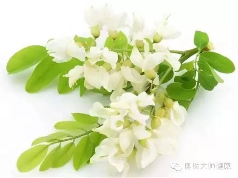 槐花什么季节开花「大连槐花什么季节开花」