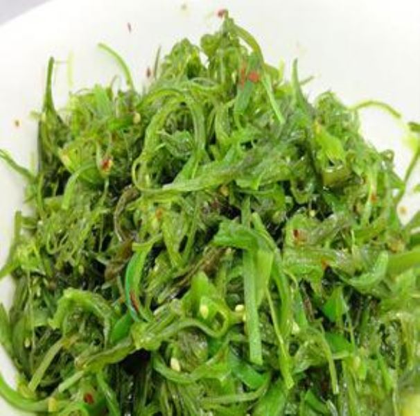 海底植物有哪些「海底植物有哪些-有什么特点-」