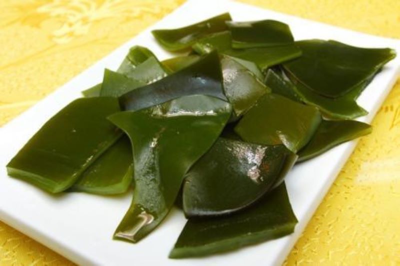 海底植物有哪些「海底植物有哪些-有什么特点-」