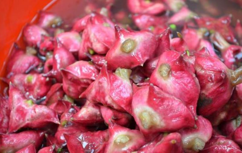 红崖菱是什么植物「红崖菱是什么植物图片」