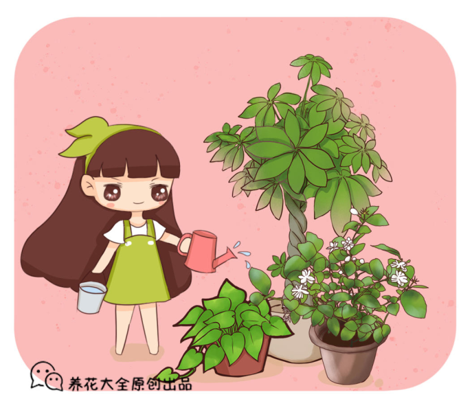 花卉栽培方法有哪些「花卉栽培方法有哪些种类」