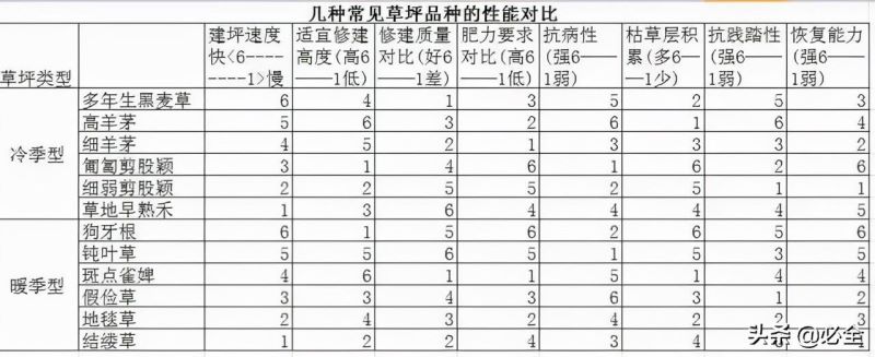 草坪草有哪些品种「草坪草有哪些品种图片」