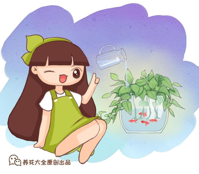 薄荷怎么养才能爆盆「薄荷怎么养才能爆盆用什么肥最好」_1