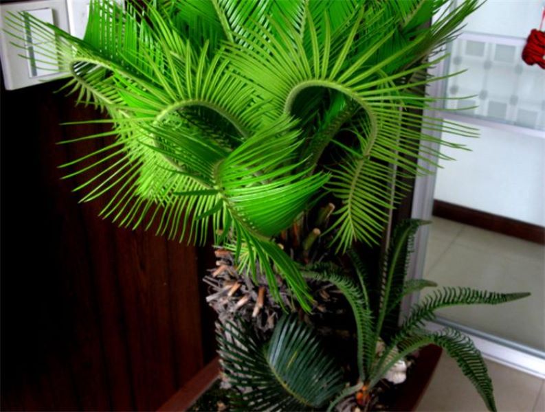 除甲醛的绿色植物有哪些「除甲醛的绿色植物有哪些图片」