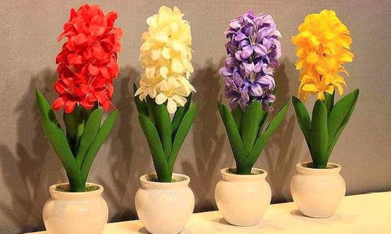 风信子的花期有多长「风信子的花期有多长时间」