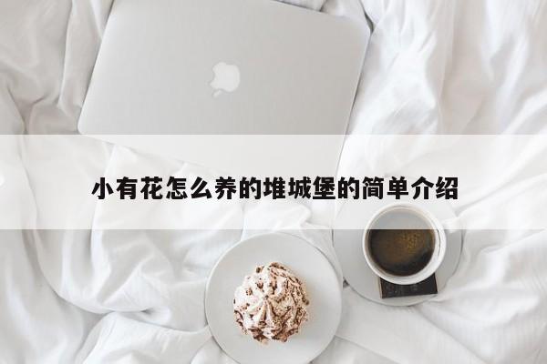 小有花怎么养的堆城堡的简单介绍