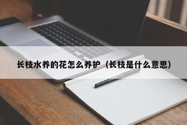 长枝水养的花怎么养护（长枝是什么意思）