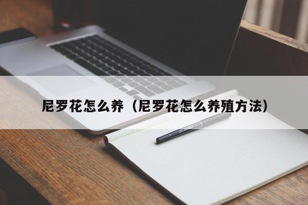 尼罗花怎么养（尼罗花怎么养殖方法）