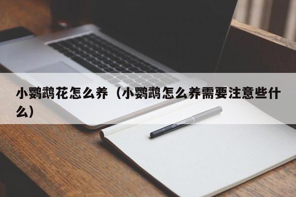 小鹦鹉花怎么养（小鹦鹉怎么养需要注意些什么）