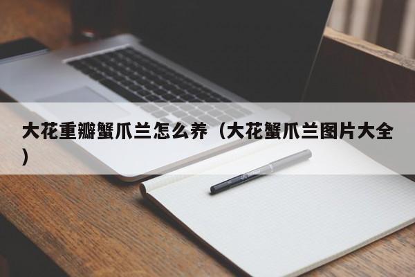 大花重瓣蟹爪兰怎么养（大花蟹爪兰图片大全）