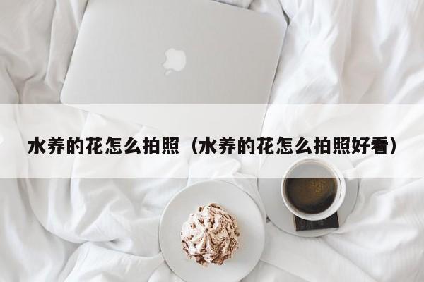 水养的花怎么拍照（水养的花怎么拍照好看）