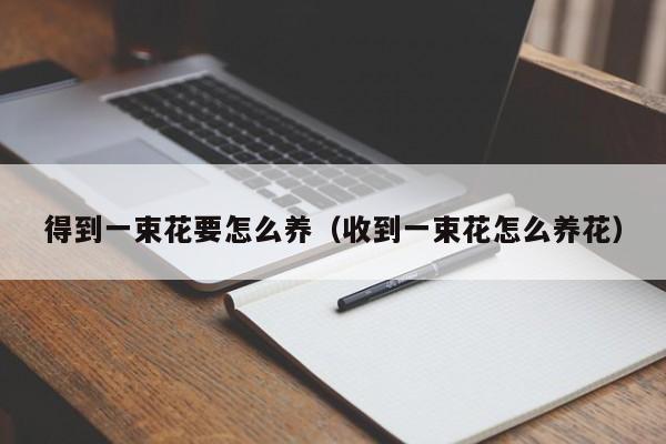 得到一束花要怎么养（收到一束花怎么养花）