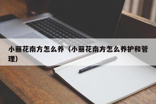 小丽花南方怎么养（小丽花南方怎么养护和管理）