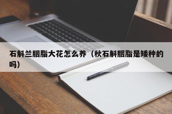 石斛兰胭脂大花怎么养（秋石斛胭脂是矮种的吗）