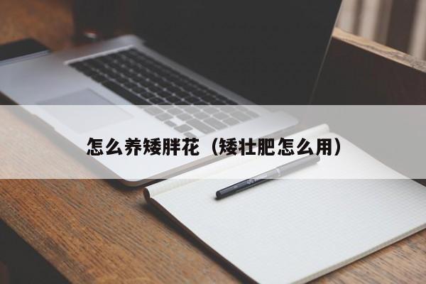 怎么养矮胖花（矮壮肥怎么用）