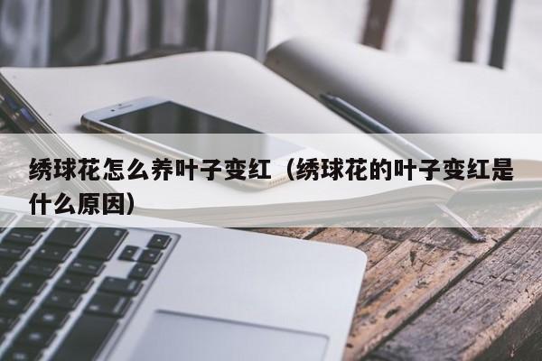 绣球花怎么养叶子变红（绣球花的叶子变红是什么原因）