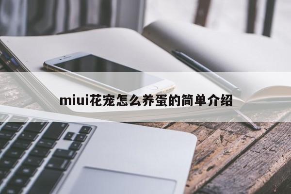 miui花宠怎么养蛋的简单介绍