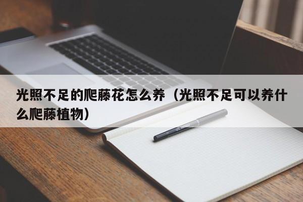 光照不足的爬藤花怎么养（光照不足可以养什么爬藤植物）