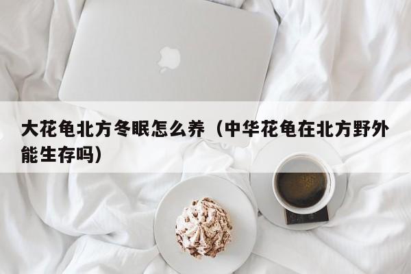 大花龟北方冬眠怎么养（中华花龟在北方野外能生存吗）