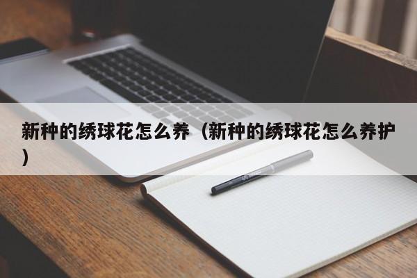 新种的绣球花怎么养（新种的绣球花怎么养护）