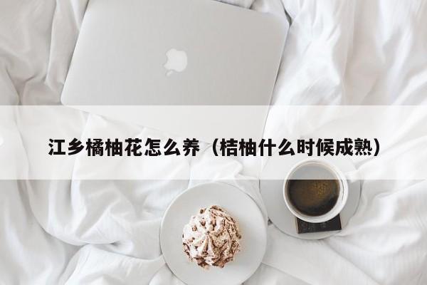 江乡橘柚花怎么养（桔柚什么时候成熟）