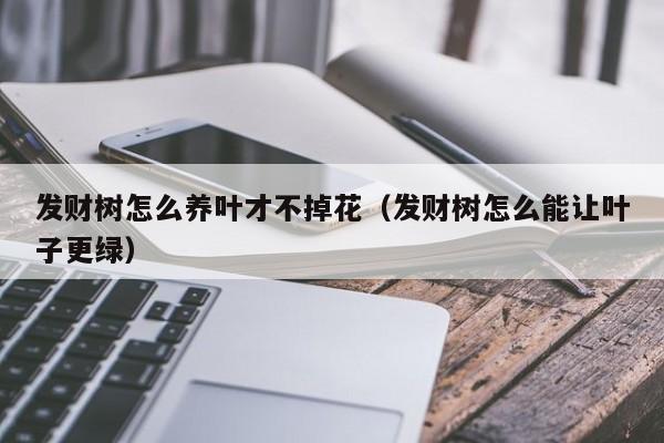 发财树怎么养叶才不掉花（发财树怎么能让叶子更绿）