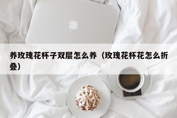 养玫瑰花杯子双层怎么养（玫瑰花杯花怎么折叠）