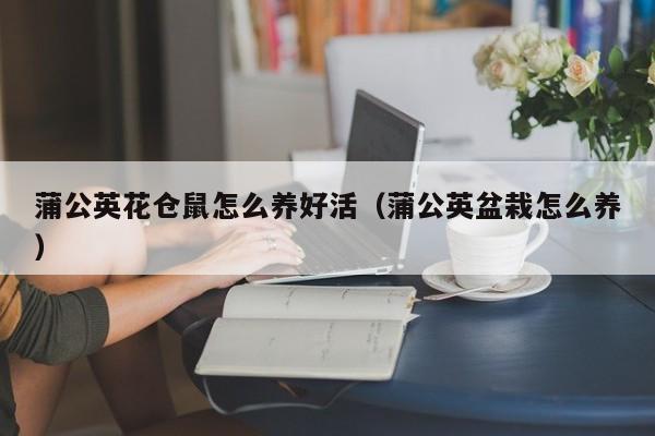 蒲公英花仓鼠怎么养好活（蒲公英盆栽怎么养）