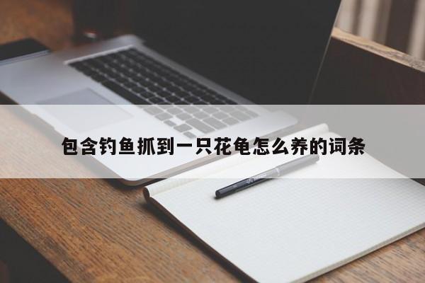 包含钓鱼抓到一只花龟怎么养的词条