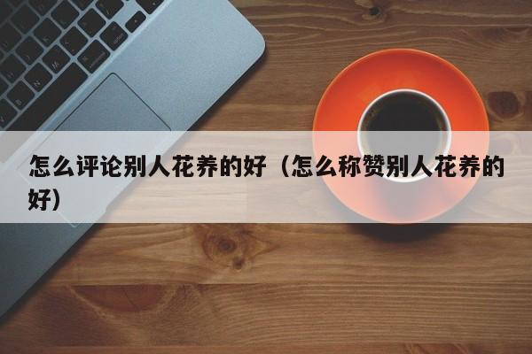 怎么评论别人花养的好（怎么称赞别人花养的好）