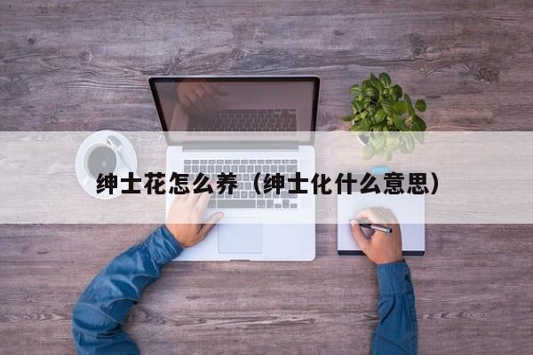 绅士花怎么养（绅士化什么意思）