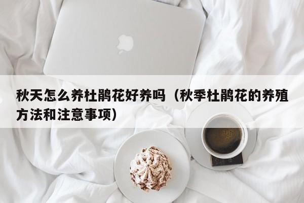 秋天怎么养杜鹃花好养吗（秋季杜鹃花的养殖方法和注意事项）
