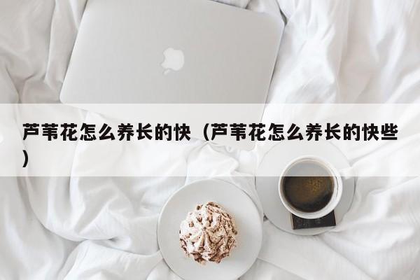 芦苇花怎么养长的快（芦苇花怎么养长的快些）