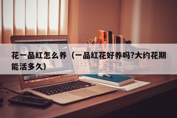 花一品红怎么养（一品红花好养吗?大约花期能活多久）
