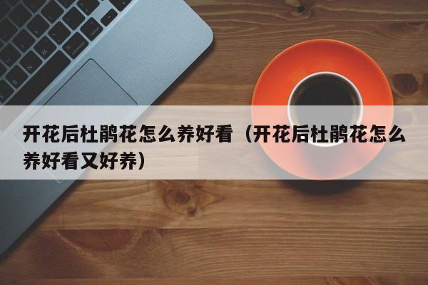 开花后杜鹃花怎么养好看（开花后杜鹃花怎么养好看又好养）