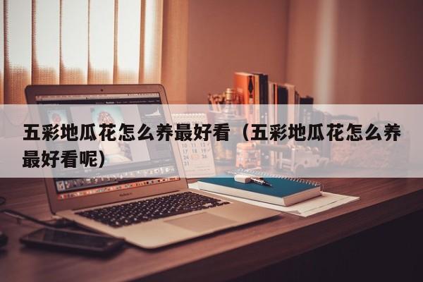 五彩地瓜花怎么养最好看（五彩地瓜花怎么养最好看呢）