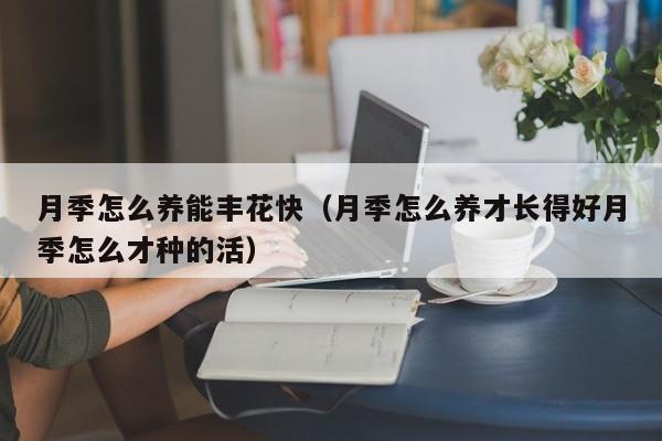 月季怎么养能丰花快（月季怎么养才长得好月季怎么才种的活）