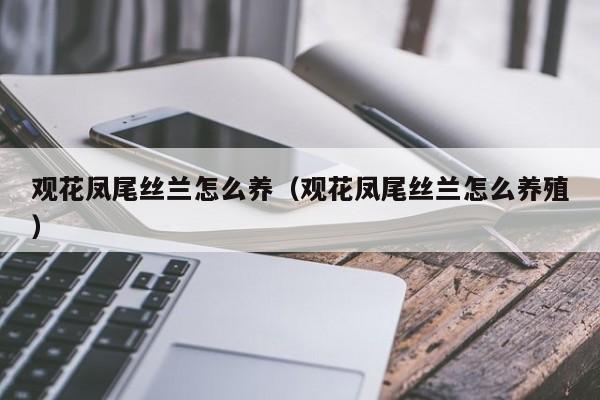 观花凤尾丝兰怎么养（观花凤尾丝兰怎么养殖）