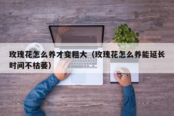 玫瑰花怎么养才变粗大（玫瑰花怎么养能延长时间不枯萎）