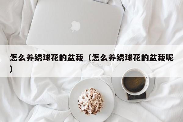 怎么养绣球花的盆栽（怎么养绣球花的盆栽呢）