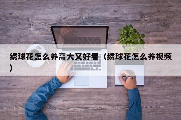 绣球花怎么养高大又好看（绣球花怎么养视频）