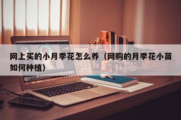 网上买的小月季花怎么养（网购的月季花小苗如何种植）