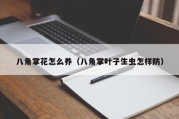 八角掌花怎么养（八角掌叶子生虫怎样防）